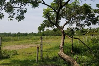 Dân ở lâu đời cần Bán đất Vườn Long Phước Quận 9 – 1000m2 4 tỷ giá cực rẻ
