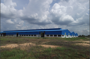 BÁN XƯỞNG XÃ PHÚ AN, BẾN CÁT, BÌNH DƯƠNG.