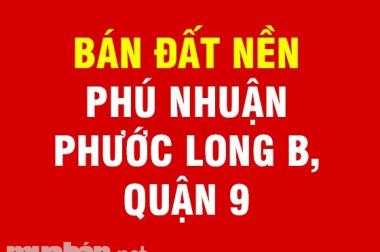 Cần bán 2 lô đất biệt thự vị trí đẹp dự án Phú Nhuận, phường Phước Long B, Quận 9(TP Thủ Đức)