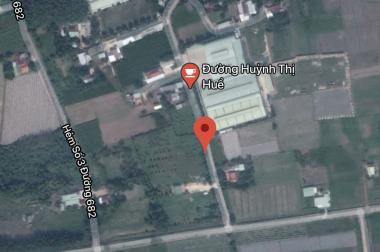 Bán 11,778.6m2 đất tại đường Huỳnh Thị Huề, Thái Mỹ, Củ Chi, TP.HCM