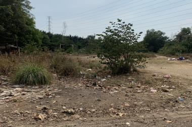 Chính chủ cần bán lô đất trồng cây lâu năm đường Gò Cát, Phú Hữu, Quận 9, diện tích 5665m2