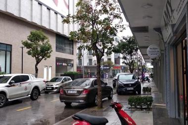 Bán Nhà Vincom Shophouse - trung tâm TP Thanh Hóa - vị trí kinh doanh đẹp - đã bàn giao sổ