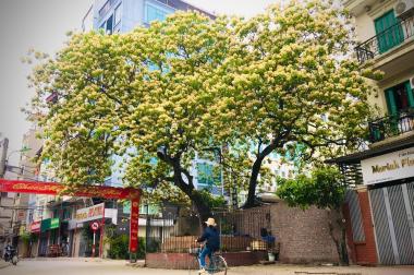 BÁN ĐẤT: Mặt phố Đình Thôn, Mỹ Đình DT 63M. Ô tô Kinh doanh.