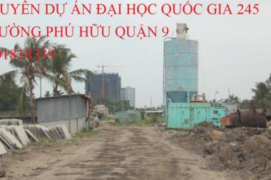 Bán đất nền dự án ĐH Quốc Gia 245, Phường Phú Hữu, Quận 9