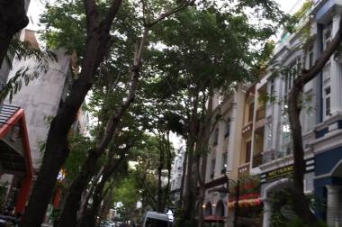 Cho thuê nhà phố 11PN, 67,106 triệu/tháng khu Hưng Gia, Phú Mỹ Hưng