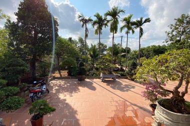 Bán nhà vườn 16.5 tỷ, 22x55m góc 2 mặt tiền đường an hạ,xã phạm văn hai, huyện bình chánh