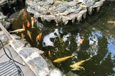 Bán nhà 17 tỷ 7.4mx17m 3 tấm 2 mặt tiền đường trần thủ độ, phường phú thạnh