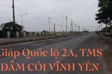 BÁN NHANH 2 LÔ (100M2/LÔ) ĐẤT KINH DOANH GIÁP TMS ĐẦM CÓI