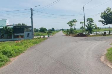BÁN ĐẤT MẶT TIỀN ĐƯỜNG NHỰA 8M TRUNG TÂM HUYỆN LONG ĐIỀN BÀ RỊA VT