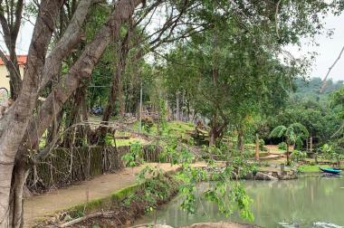 Bán khu du lịch sinh thái tại núi Dinh, huyện Tân Thành, thị trấn Phú Mỹ, Vũng Tàu.