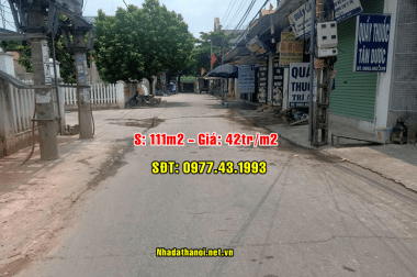 Bán đất mặt đường trục chính thôn Xuân Bách, Xã Quang Tiến, Sóc Sơn, Hà Nội