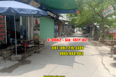 Bán đất mặt đường trục chính thôn Xuân Bách, Xã Quang Tiến, Sóc Sơn, Hà Nội