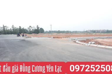 Bán đất đấu giá Dịch Đồng, Đồng Cương Yên Lạc, Vĩnh Phúc