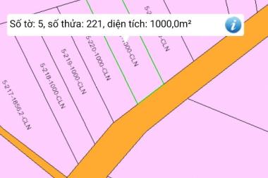 Bán đất tại Đường 51A, Long Thành,  Đồng Nai diện tích 1000m2  giá 3.2 Tỷ