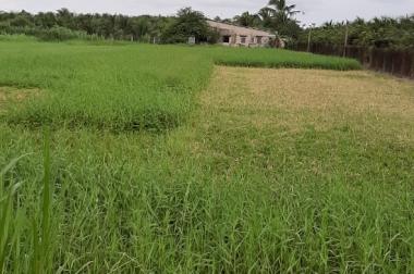 Chính chủ cần bán khu đất có vị trí đẹp tại KCN Phú Thuận, Huyện Bình Đại, Tỉnh Bến Tre.