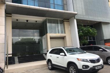 Tòa nhà MT Nguyễn Văn Cừ, P2, Q5 DT: 7x28m, kết cấu: H + 8 lầu + sân thượng + thang máy