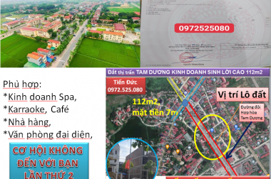 Đất TAM DƯƠNG KINH DOANH SINH LỜI CAO 112m2