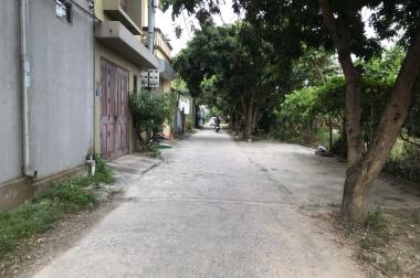  Bán nhà 72m2 ở ngay giá rẻ bất ngờ Viện Rau B, Trâu Quỳ, Gia Lâm