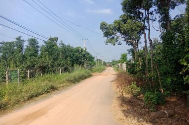 Bán đất mặt tiền Đường Lý Tự Trọng, Thị trấn Ea T''Ling, Huyện Cư Jút, Đắk Nông