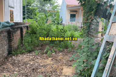 Bán đất mặt đường 131 Thôn Đan Tảo, Xã Tân Minh, Huyện Sóc Sơn, Hà Nội