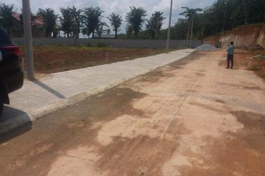 Đất nền giá rẻ, đầu tư sinh lời.