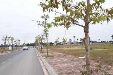 Bán Đất Dự Án Hiệp Hòa, Bắc Giang 110m2, mt5m Phân Lô, Ô Tô, Vỉa Hè 1.4 Tỷ