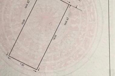 Mặt tiền Vip Lê Niệm Tân Phú, 140m2, 8x17.5, 3T, kinh doanh đỉnh, giá 17.5 tỷ, hiếm