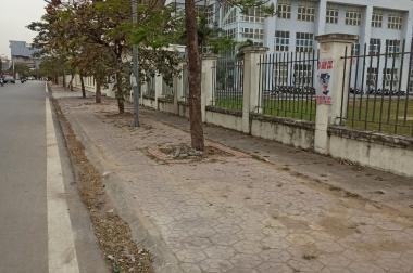 Bán đất mặt đường Máng Nước, An Đồng, Hải Phòng giá đầu tư