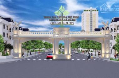 Mở bán đất nền đẹp nhất Hải Dương – Chí Linh Palm City -  Cơ hội vàng cho các nhà đầu tư dịp cuối năm