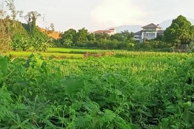 2540M2 ĐẤT NHÀ VƯỜN THÔN MUỖI, YÊN BÀI, BA VÌ, 3.3 TỶ