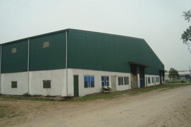 Cho thuê kho xưởng DT 500-3000m2 KCN Năm Thăng Long, Bắc Từ Liêm, Hà Nội.