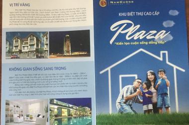 Bán biệt thự Plaza, Tứ Minh, TP HD, 205.5m2, lô góc đường 39m, giá tốt, cực đẹp