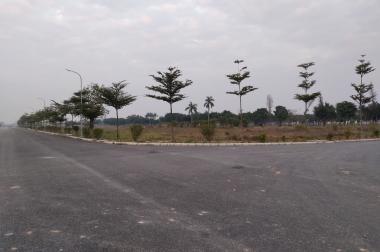 Bán đất nền dự án khu đô thị Vườn Hồng, Từ Sơn Garden City, Bắc Ninh 