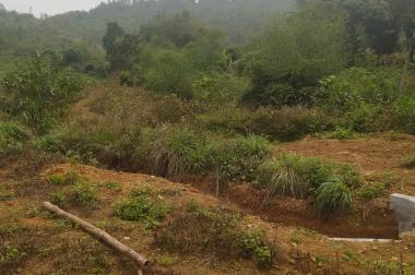 Đất trồng cây lâu năm tại Lương Sơn,Hòa Bình 5ha,giá 14 tỷ