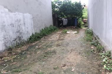 Cần bán 88m đất phân lô khu tập thể Trại Gà Phúc Thịnh, Đặng Xá:
