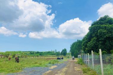 Đất nền giá rẻ KDC Núi Thơm – Bà Rịa Vũng Tàu