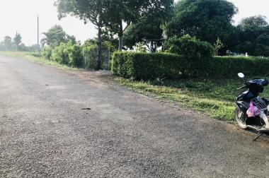 Khu dân cư Gò Sầm - Láng Dài giá yêu thương chỉ 5xx/nền