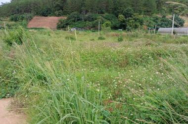 💥💥BÁN ĐẤT SRNN ĐÈO MIMOSA, ĐÀ LẠT