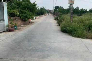 Siêu phẩm Nhạc Miếu-Lạc Hồng - Văn Lâm - Hưng Yên