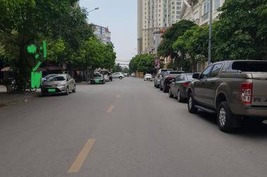 Quá hiếm đẹp như mơ đường thông vỉa hè 4 làn ôtô siêu kinh doanh 95m2 mt 7m giá đầu tư
