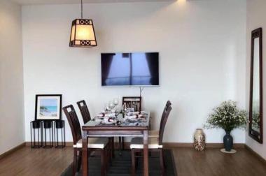 Chính chủ cần bán căn hộ cao cấp tại chung cư Platinum số 6 Nguyễn Công Hoan, 120m2, 3PN, giá 5.1tỷ