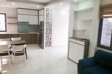 Bán chung cư mini Nguyễn Văn Cừ – Chương Dương (32 -50m2).Ô tô đỗ cửa hơn 550 tr/căn