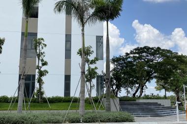 Bán shophouse Thủ Thiêm Dragon quận 2, góc, tầng trệt, 160m2 tiện KD mọi ngành nghề, chỉ 75 tr/m2