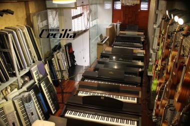 Piano, Organ liên tục về ngập cửa hàng phục vụ cho cả nhà rùi ah!