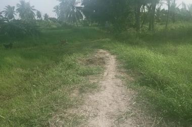BÁN ĐẤT ẤP 4 XÃ NHỰT CHÁNH , H. BẾN LỨC , LONG AN
