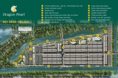 Dragon Pearl - Khu đô thị mới Đức Hòa Đông giai đoạn 1 chính thức mở bán GĐT chỉ với 400tr/nền 90m2