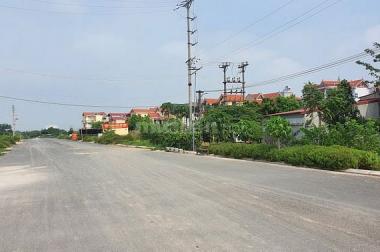 Bán gấp 44m2 đất dịch vụ khu 25,2ha Vân Canh, Hoài Đức, Hà Nội.