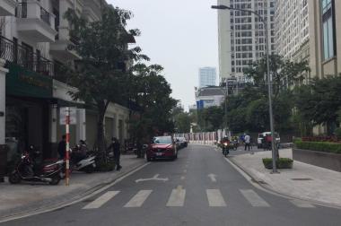 Cho thuê nhà  liền  kề  Roman Plaza, Đại Mỗ Dt 91m,2 tầng, mt 5m Giá:20tr/th.LH-0968.810.861