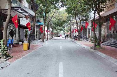 Bán nhà Phân lô Đa Sỹ, Hà Đông, Ô tô tránh, Vỉa hè, Kinh doanh