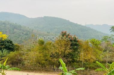 Bán đất nền nghỉ dưỡng đẹp như Đà Lạt tại Kỳ Sơn, Hòa Bình